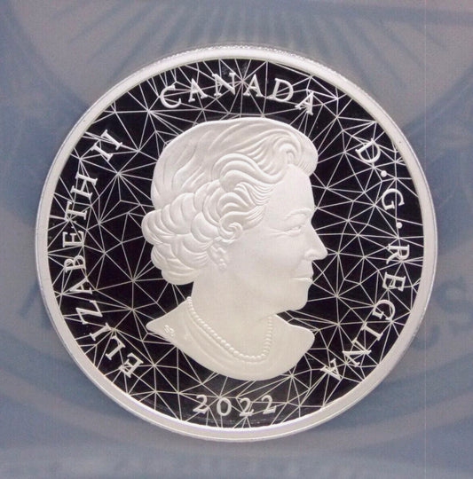 In Stock! 2022 Canada $30 Multifaceted Animal Family: Bald Eagles - 2oz Fine Silver Coin