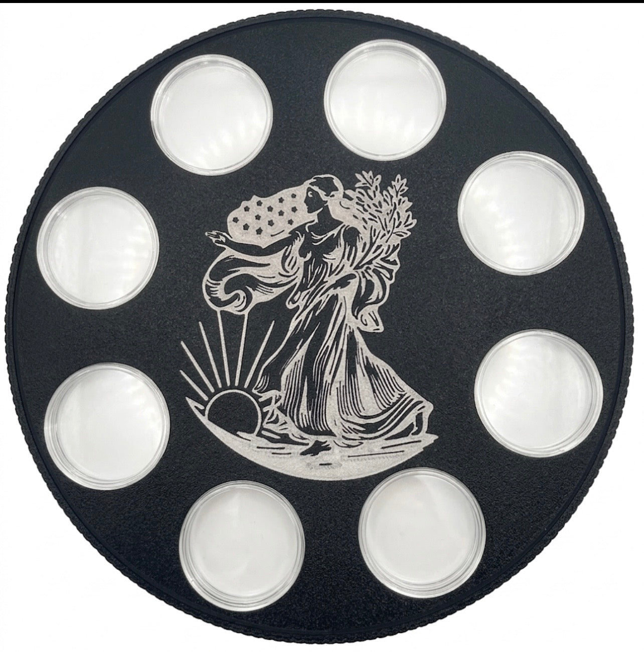 AMERICAN SILVER EAGLE WALL HANGER COIN DISPLAY! BLACK AND SILVER COLOR SCHEME.
