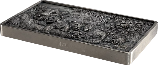 2025 Benin Lion Family UHR 1 Kilo Silver Coin. Mintage only 70! (06/08)