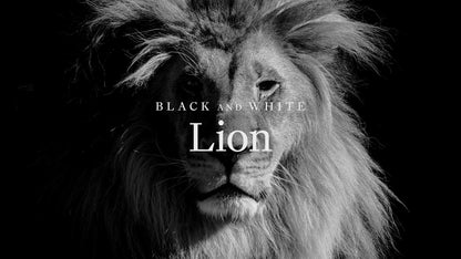 2026 Cook Islands Black and White - Lion 1 oz Silver Coin