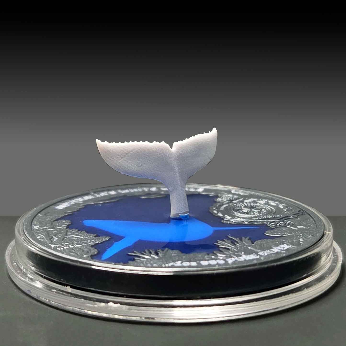 2026 Niue Migaloo - Australia's White Whale 3D 1 oz Silver Coin