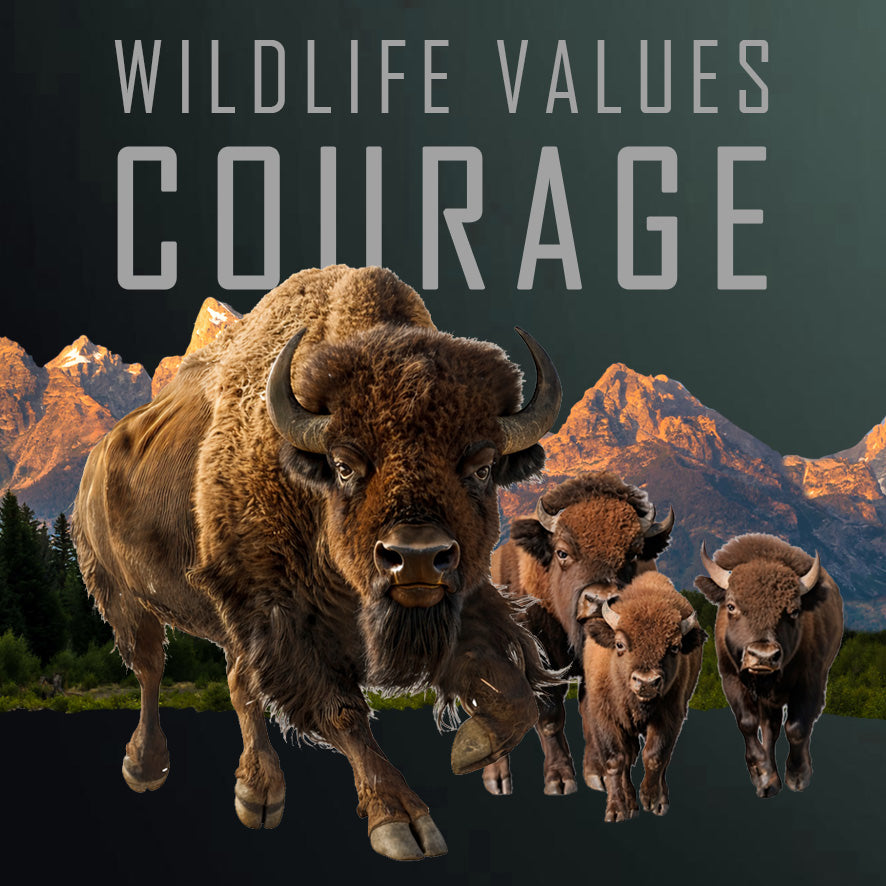 2026 Cameroon Wildlife Values Bison Courage Proof 5 oz Copper Coin (07/17)