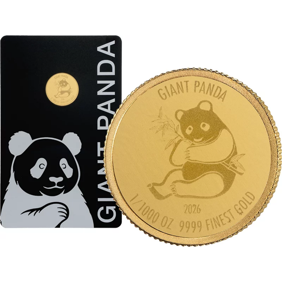 2026 Solomon Islands Giant Panda 1/1000 oz Gold Coin in Card (08/04)