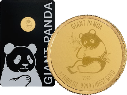 2026 Solomon Islands Giant Panda 1/1000 oz Gold Coin in Card (08/04)