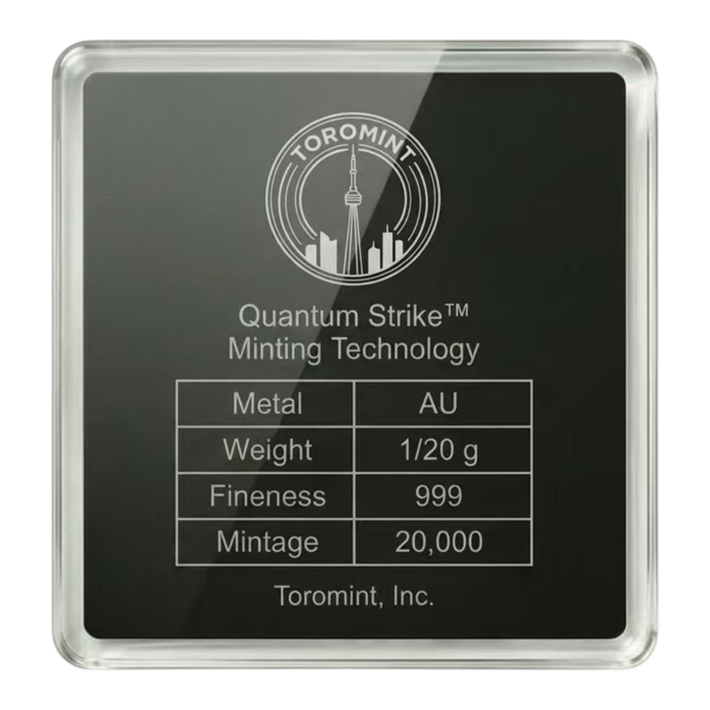 F22 Raptor Shaped 1/20g Gold Medal (07/29)