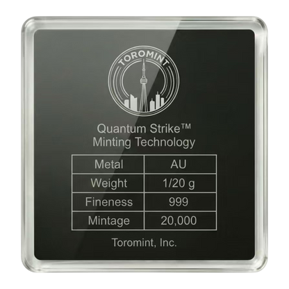 F22 Raptor Shaped 1/20g Gold Medal (07/29)