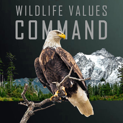 2026 Cameroon Wildlife Values Eagle Command 5 oz Copper Coin - Optional Display Box