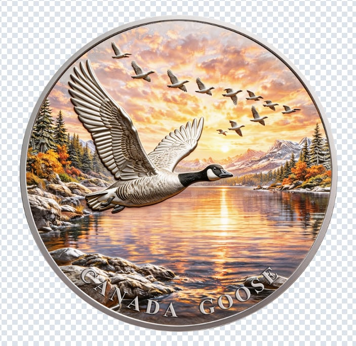 North American Wildlife - Canada Goose UHR Colorized 1 oz Copper Medal in Card (05/07)