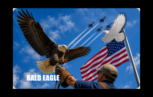 2026 Bald Eagle Shaped 1/500 oz Palladium in Card (06/29)