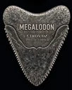 Megalodon Shark Tooth Shaped 5 oz Copper Medal
