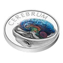 Estimate: 2026 Niue Human Body - Brain Proof 1 oz Silver Coin