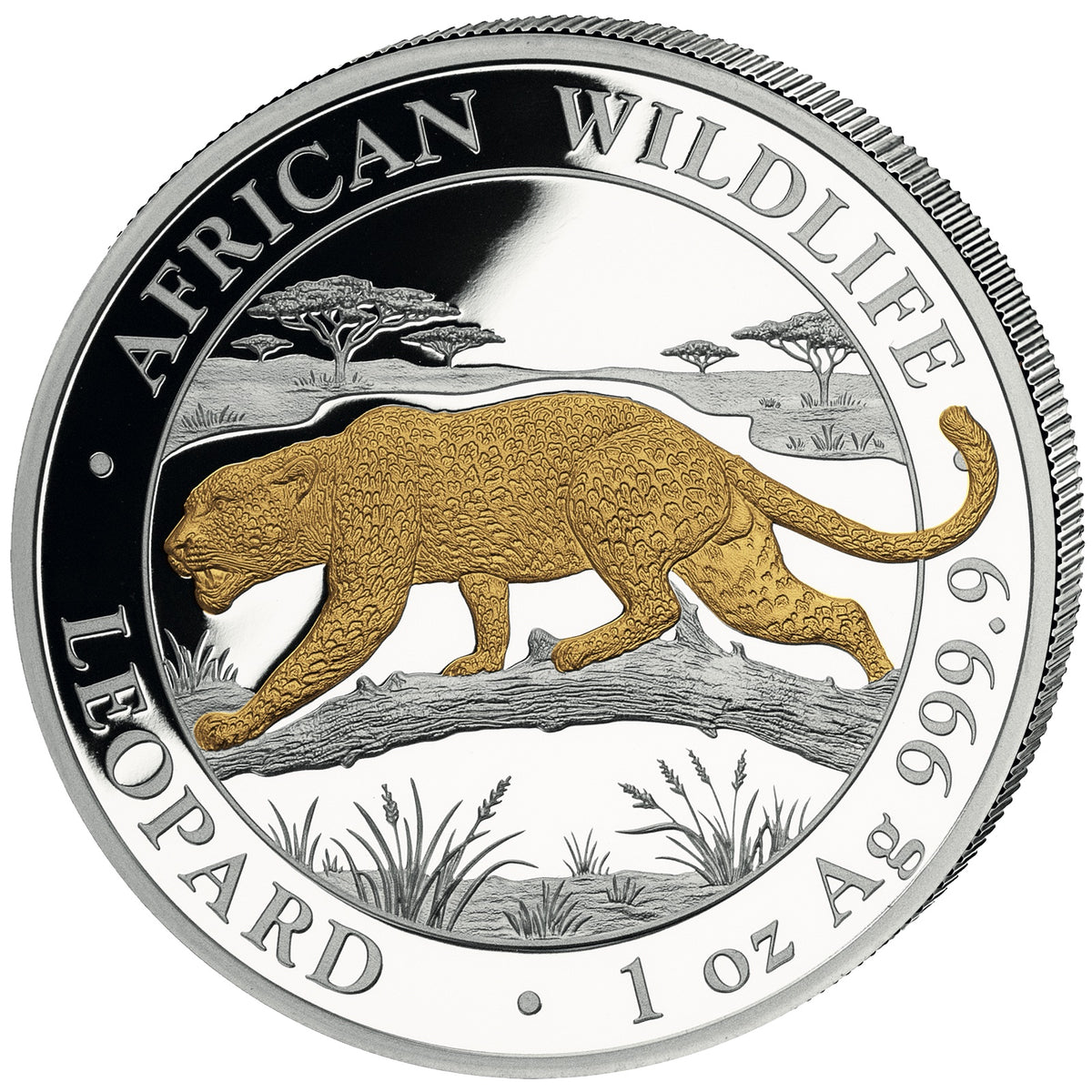 2026 Somalia African Wildlife - Leopard Gilded 1 oz Silver Coin