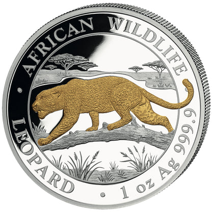 2026 Somalia African Wildlife - Leopard Gilded 1 oz Silver Coin