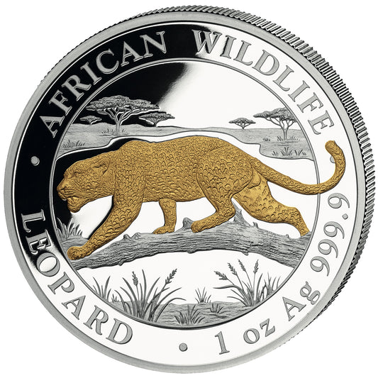 2026 Somalia African Wildlife - Leopard Gilded 1 oz Silver Coin