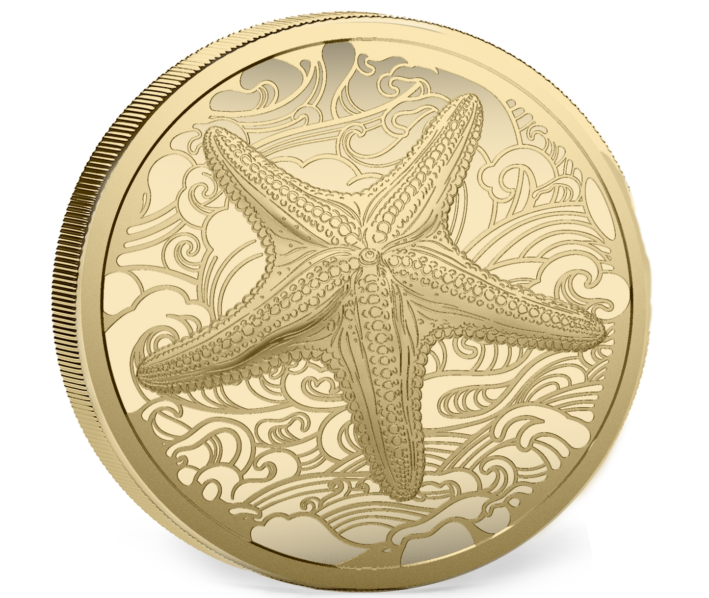 2026 Pitcairn Islands Ocean Wonders Starfish 0.5g Gold Coin (08/07)