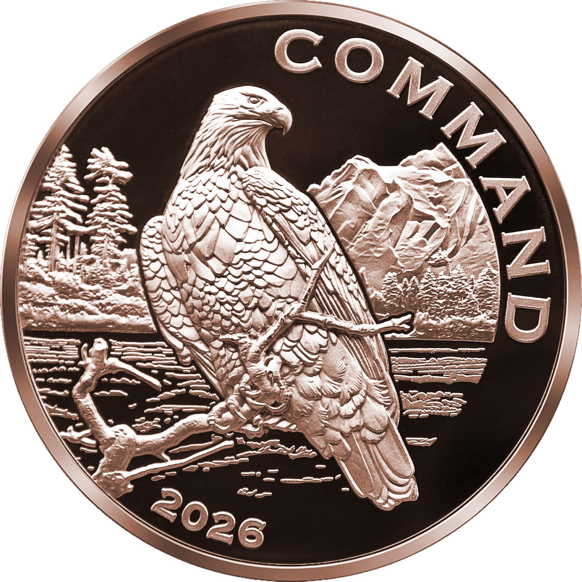 2026 Cameroon Wildlife Values Eagle Command 5 oz Copper Coin - Optional Display Box