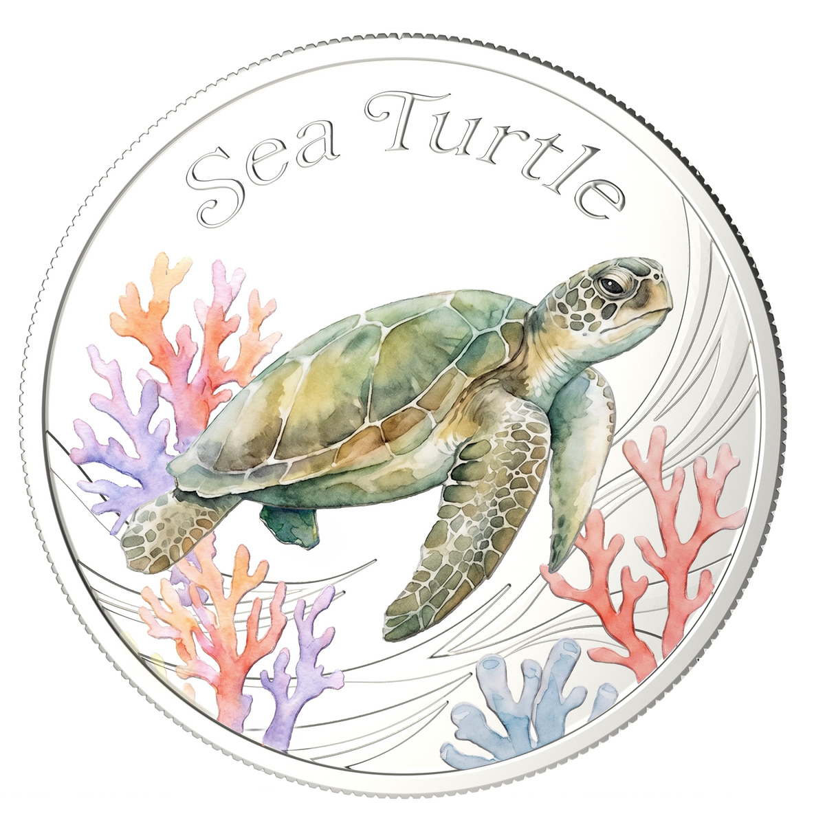 2026 Solomon Islands Water Color Sea Turtle 10g CN Coin in Card