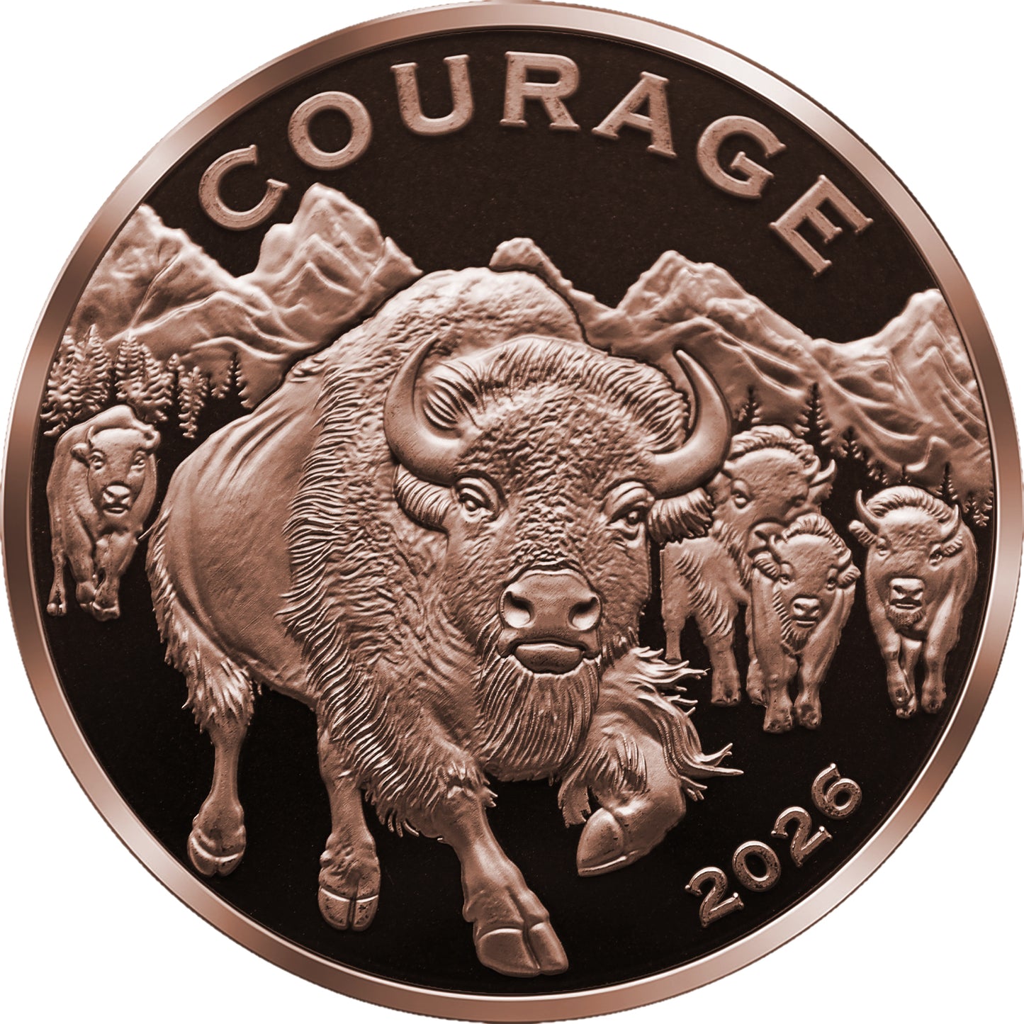 2026 Cameroon Wildlife Values Bison Courage Proof 5 oz Copper Coin (07/17)