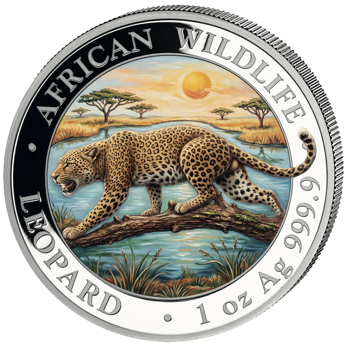 2026 Somalia African Wildlife - Leopard Colorized 1 oz Silver Coin