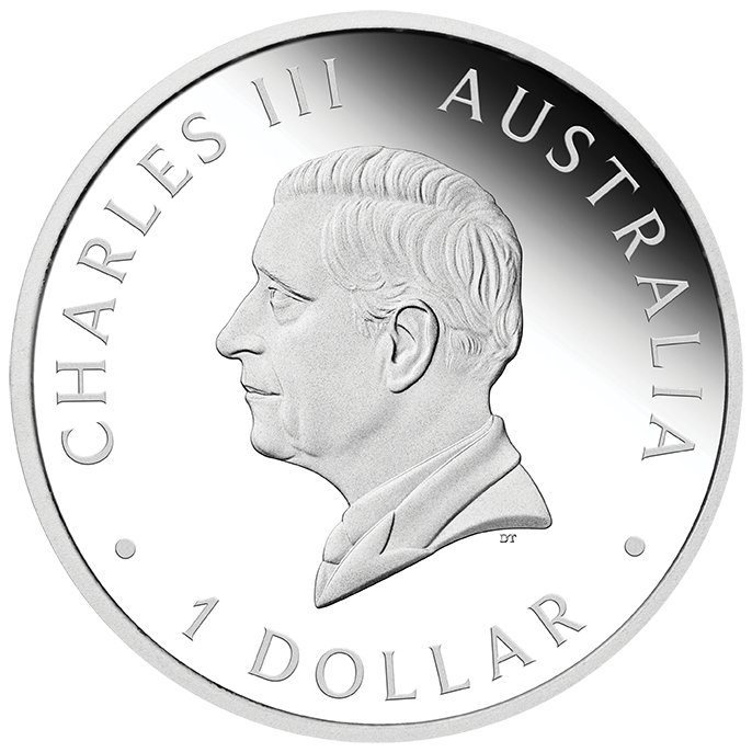 In Stock! 2025 Australia Swan Proof Perth ANDA Show 1 oz Silver Coin (05/20)