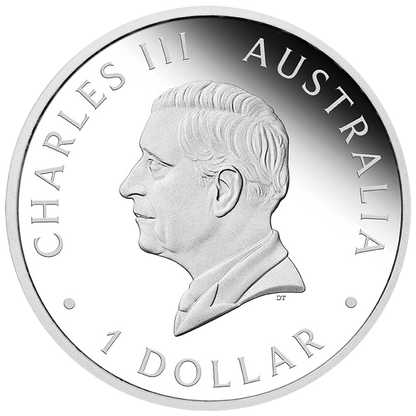 In Stock! 2025 Australia Swan Proof Perth ANDA Show 1 oz Silver Coin (05/20)