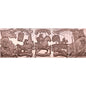 2026 Liberia American Revolution - Midnight Ride 1.776 oz Copper 5-Coin Set (06/19)