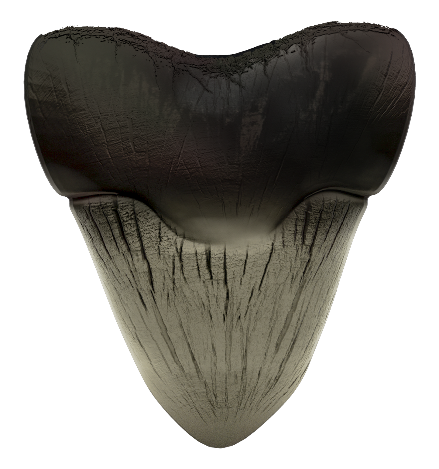 2025 Ghana 3D Megalodon Shark Tooth 2 oz Silver Coin