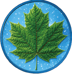 3rd in series! Summer Maple featuring Dual Sided Diamond Dust with Box/Display 1 oz