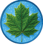 3rd in series! Summer Maple featuring Dual Sided Diamond Dust with Box/Display 1 oz