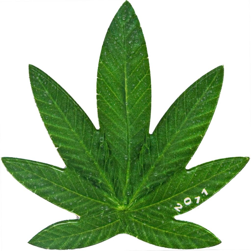 In Stock! 2011 Benin Sativa Cannabis Leaf Shaped Scented 27g Silver Plated CN Coin (01/19)