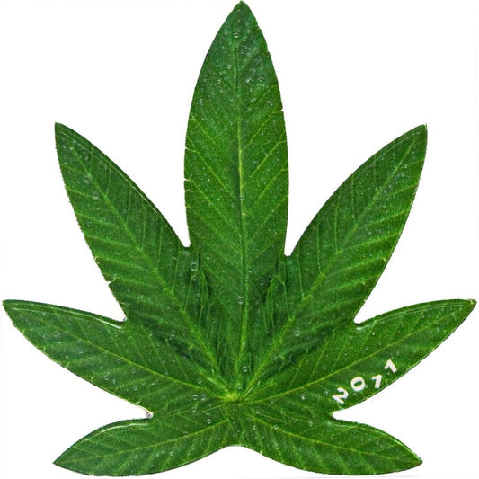 In Stock! 2011 Benin Sativa Cannabis Leaf Shaped Scented 27g Silver Plated CN Coin (01/19)