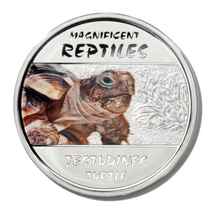 2013 Congo Magnificent Reptiles 4 x 20g Silver Coin Set