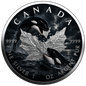 2026 Canada Maple Leaf Colorized– Orca Edition 1oz .9999 Silver Coin