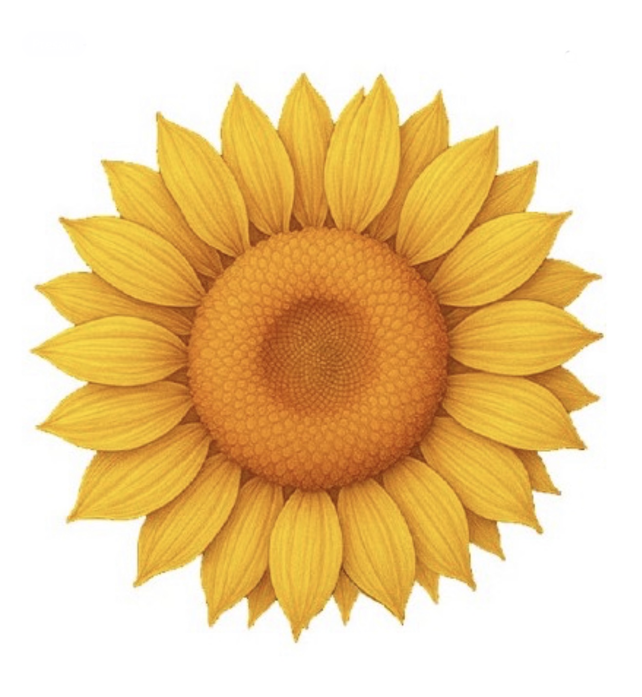 In Stock! 10oz UHR Sunflower Custom Shaped Copper in Capsule (Ultra High Relief)
