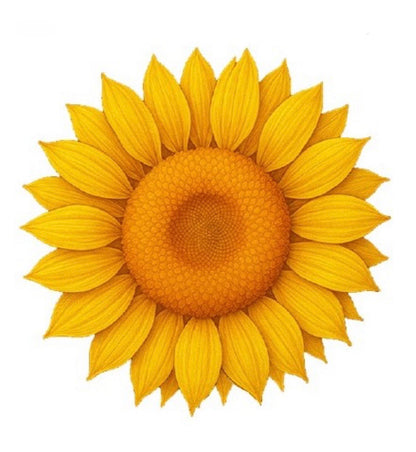 In Stock! 10oz UHR Sunflower Custom Shaped Copper in Capsule (Ultra High Relief)