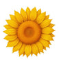 In Stock! 10oz UHR Sunflower Custom Shaped Copper in Capsule (Ultra High Relief)