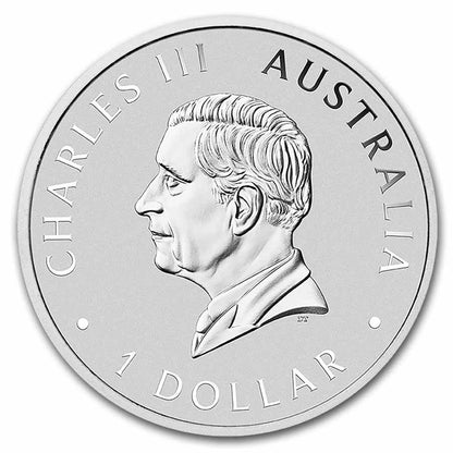 In Stock! Perth Mint 2026 Australian Black Swan 1 oz Silver Privately COLORIZED in Capsule w/COA
