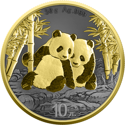 Estimate! 2026 China Panda Golden Ring Edition 30g Silver Coin (02/17)