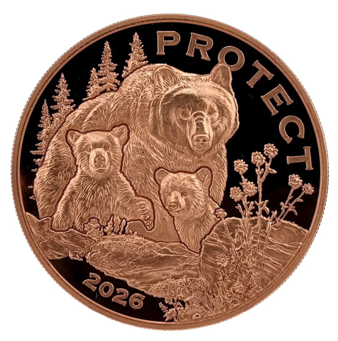 In Stock! Government backed! 2026 Cameroon Wildlife Values Bear Protect Proof 5 oz Copper Coin (02/20)