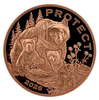 In Stock! Government backed! 2026 Cameroon Wildlife Values Bear Protect Proof 5 oz Copper Coin (02/20)