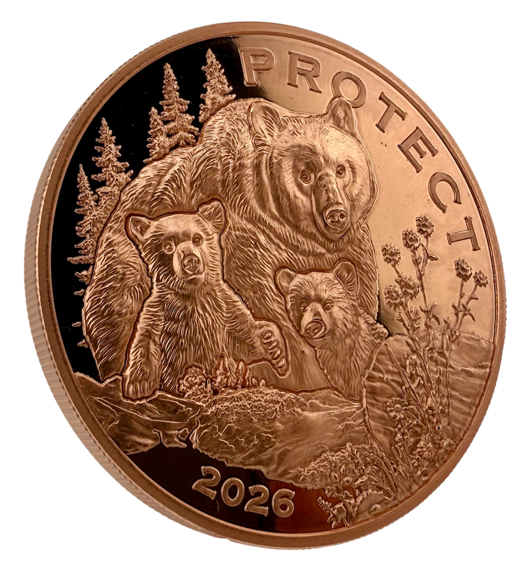 In Stock! Government backed! 2026 Cameroon Wildlife Values Bear Protect Proof 5 oz Copper Coin (02/20)
