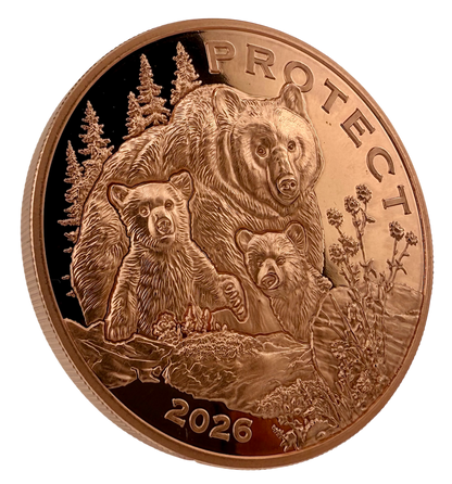 In Stock! Government backed! 2026 Cameroon Wildlife Values Bear Protect Proof 5 oz Copper Coin (02/20)