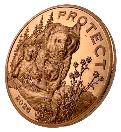 In Stock! Government backed! 2026 Cameroon Wildlife Values Bear Protect Proof 5 oz Copper Coin (02/20)