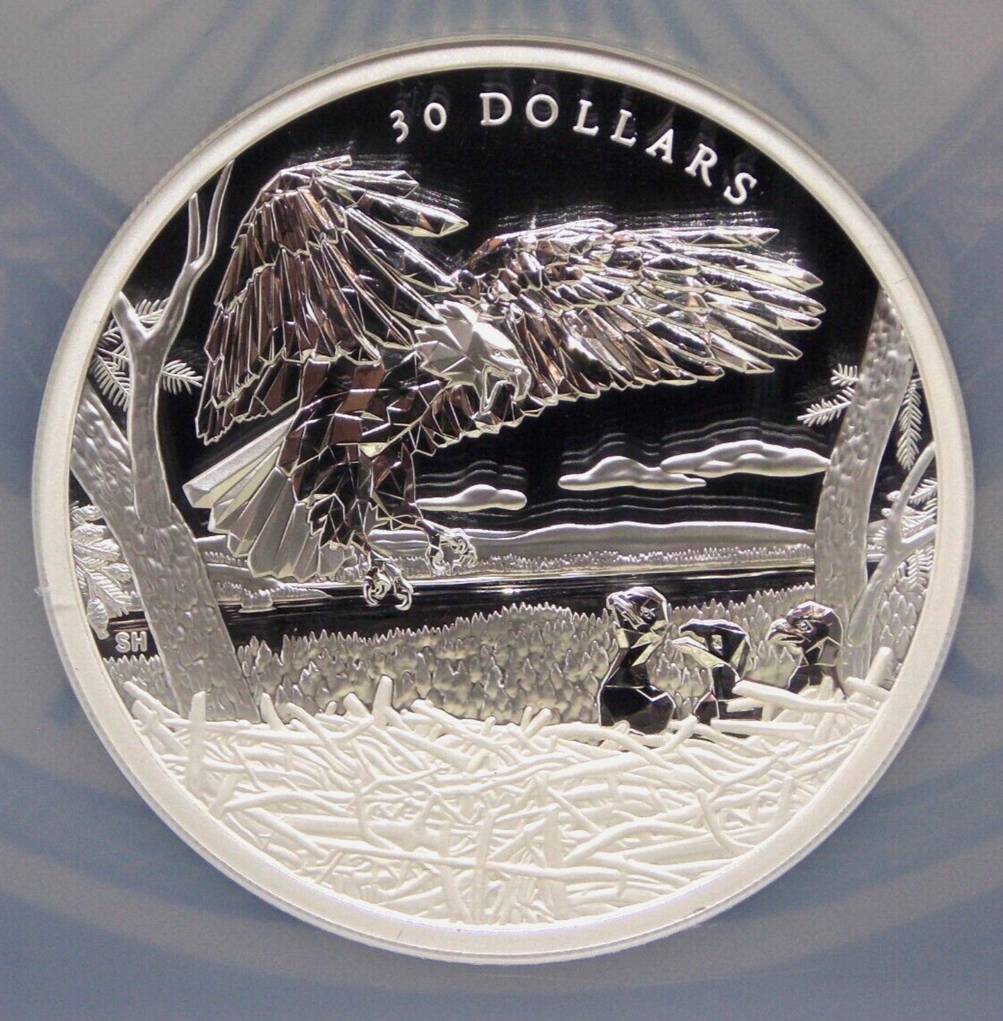 In Stock! 2022 Canada $30 Multifaceted Animal Family: Bald Eagles - 2oz Fine Silver Coin