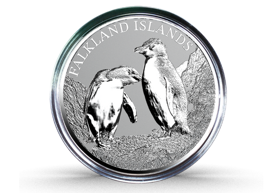 Estimate! 2026 Falkland Islands Southern Rockhopper Penguin Reverse Proof 1 oz Silver Coin (03/06)