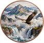 See the back! 2026 Bald Eagle High Relief Colorized 5oz AVDP .999 Fine Copper