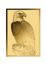 In Stock! Bald Eagle 1/1000 oz Gold Medal in Card