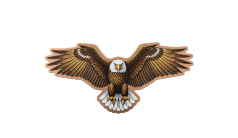 In Stock! 100 Gram Rise of the Eagle Colorized Copper in Display Box