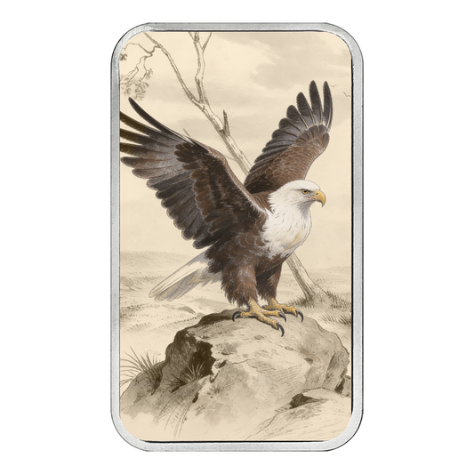 Americana - The Nation Colorized 1 oz Silver Bar (04/28)