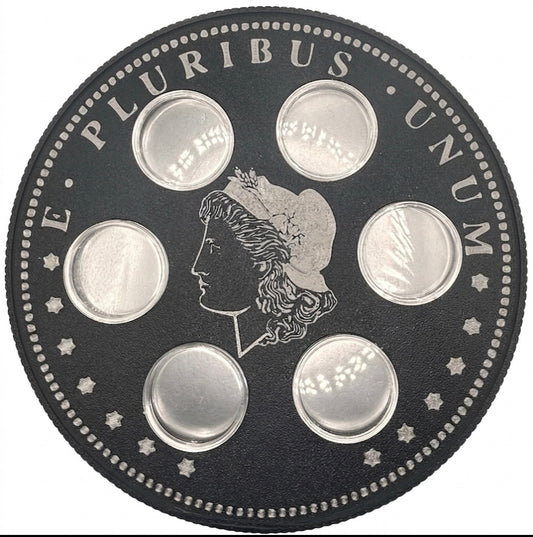 MORGAN DOLLAR WALL HANGER COIN DISPLAY! BLACK AND SILVER COLOR SCHEME.